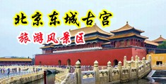 骚逼逼AV中国北京-东城古宫旅游风景区